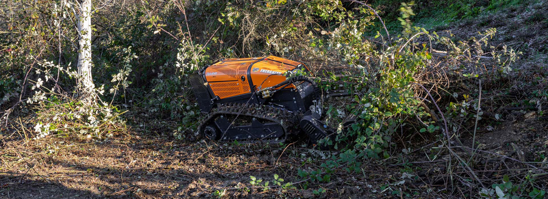 Energreen Remote Controlled Robo Evo Mulching Head